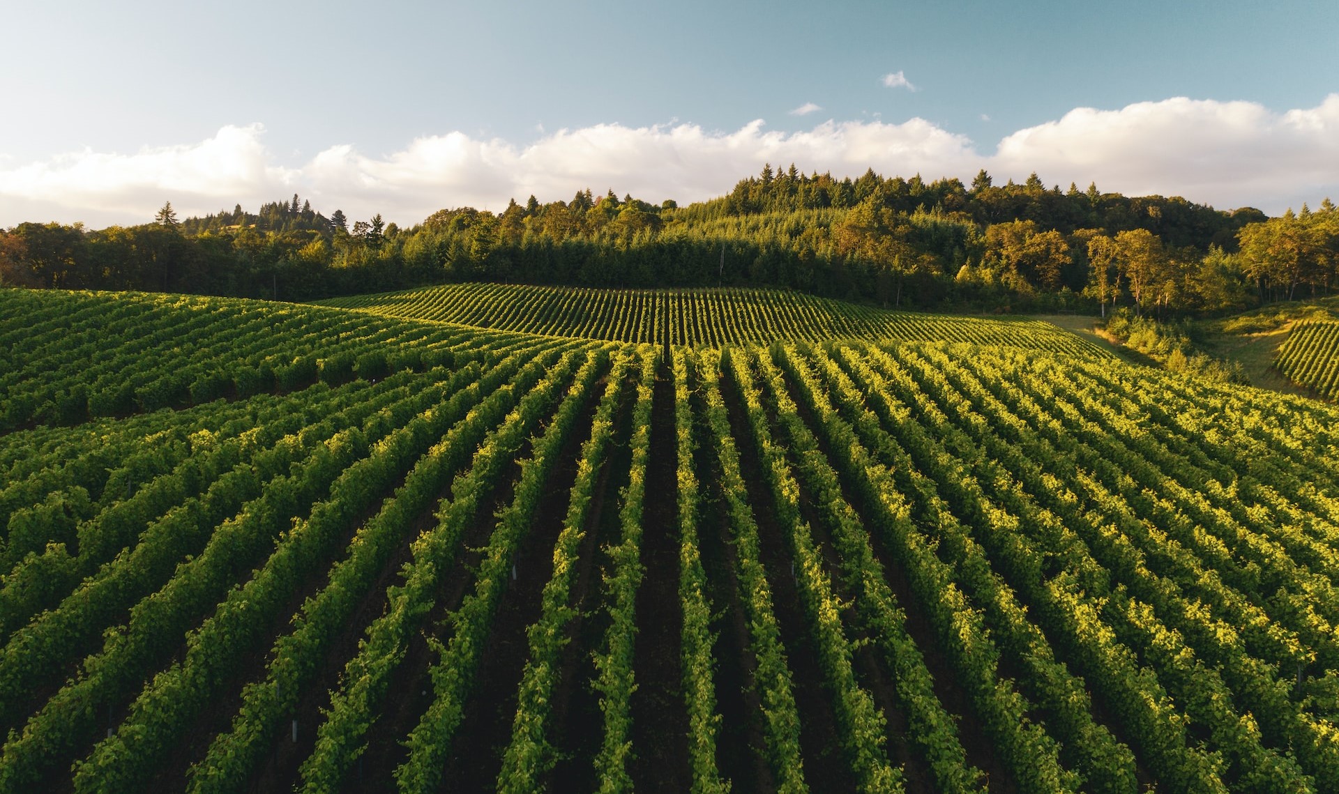 It’s all about balance